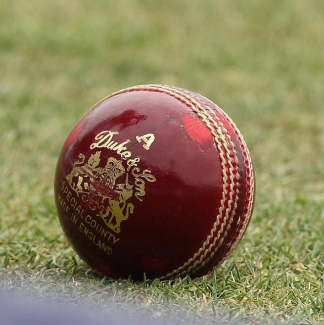 Dukes Cricket Ball