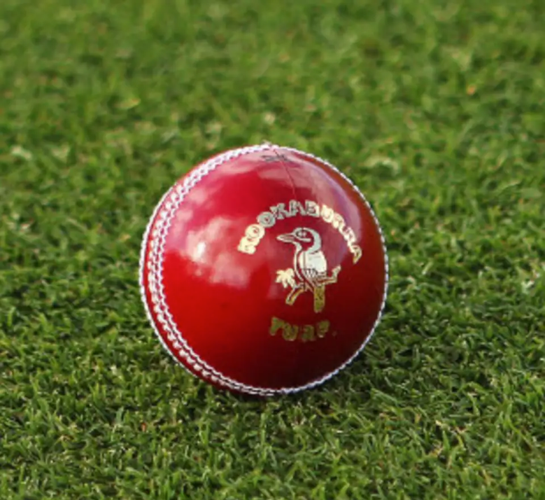 Kookaburra Turf IPL Cricket ball