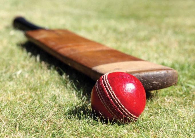 Types of Cricket Bats
