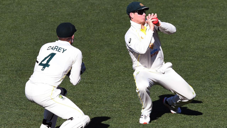 Steve Smith Records Most Catches in Test Cricket 